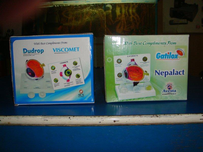 Eye Model Catract Sunpharma Box